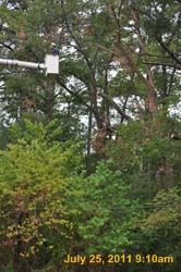 Entergy 040